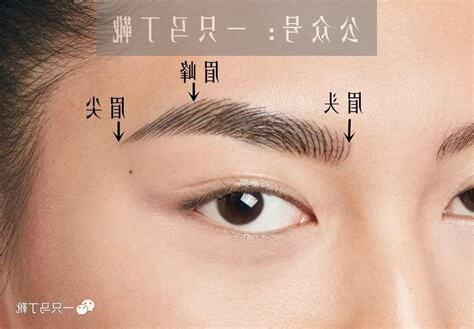 眉形 面相